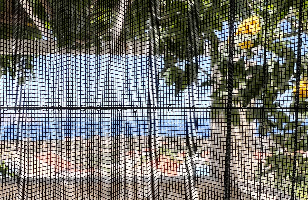 Mosquito nets on all windows and doors